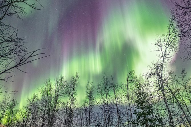 Northern Lights Private tour with your special ones - Greenlander - Weather and Dress Recommendations
