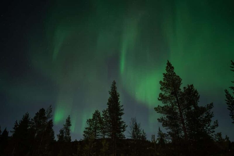 Northern Lights & Reindeer Experience - Traditional Sámi Hut and Reindeer Interaction