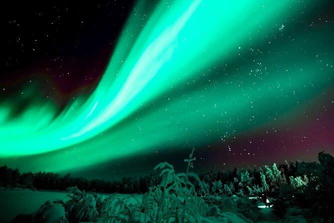 Northern Lights Rovaniemi: Guaranteed Viewing & Unlimited Mileage - The Guarantee of Aurora Sightings