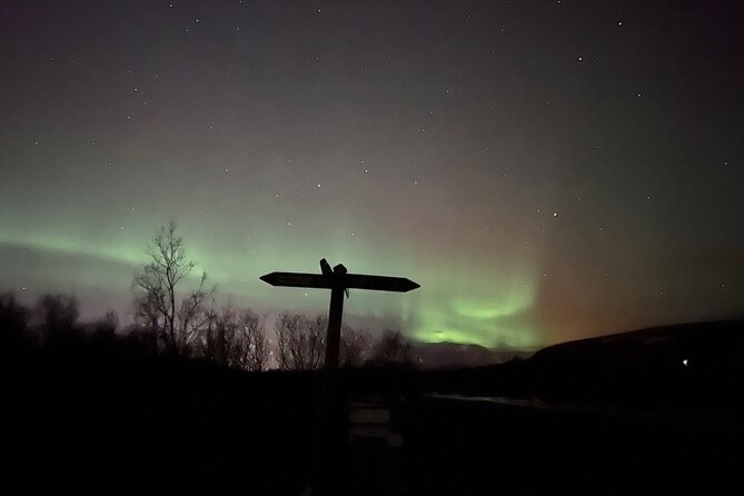 Northern Lights Safari on Quads - The Experience of Nighttime ATV Riding in Iceland