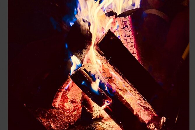 Northern Lights Safari Tromso - Physical Requirements and Accessibility