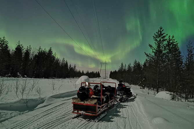 Northern Lights Sledge Ride - What Travelers Can Expect During the Tour