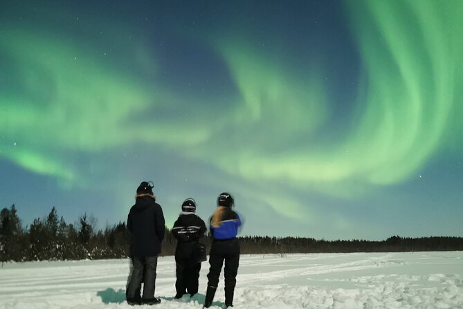 Northern Lights Sledge Ride - Who Should Consider This Tour