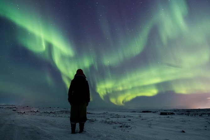 Northern Lights Small Group Tour from Reykjavik with Free Photos - Food and Refreshments Included in the Tour