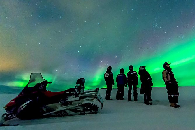 Northern Lights Snowmobile Safari from Rovaniemi with Campfire Picnic - Exciting Snowmobiling Adventure in Rovaniemi with Northern Lights Chance