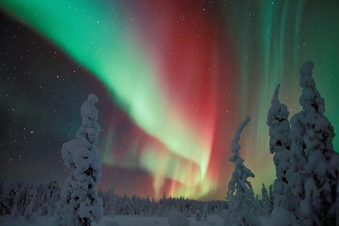 Northern Lights Snowmobile Safari from Rovaniemi with Campfire Picnic - Guide Expertise and Safety Measures
