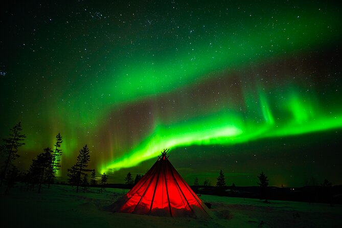 Northern Lights Snowmobile Tour - Stops and Campfire Experience