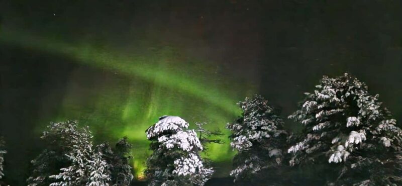 Northern Lights Snowshoe Hike in Levi with Latvian Guide - Key Points
