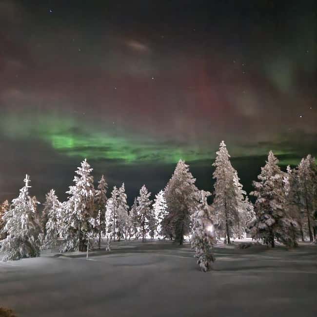 Northern Lights Snowshoe Hike in Levi with Latvian Guide - Guides and Language Support