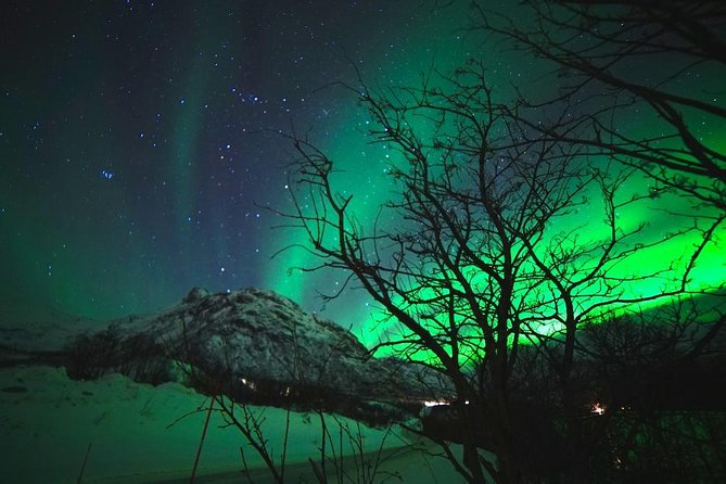 Northern lights - TeslaX Ecofriendly Car - Managing Expectations and Possible Cancellations