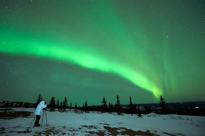 Northern Lights Tour from Reykjavik with Lifetime Guarantee - Key Points