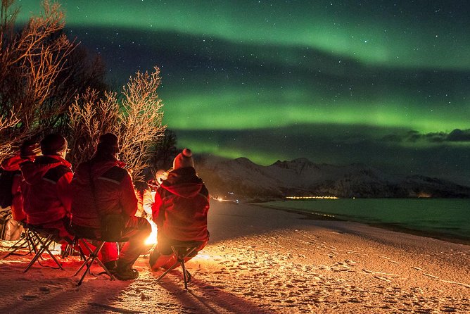 Northern Lights Tour from Tromsø - Unpredictable Conditions and How Guides Handle Them