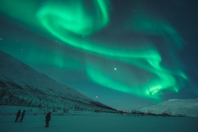 Northern Lights Tour in Tromso - Comfort and Practicalities During the Tour