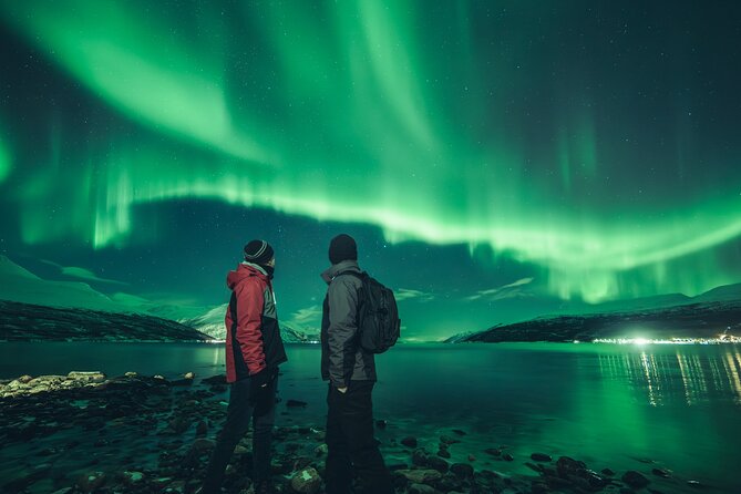 Northern Lights Tour in Tromso - Reviews and What Makes This Tour Stand Out
