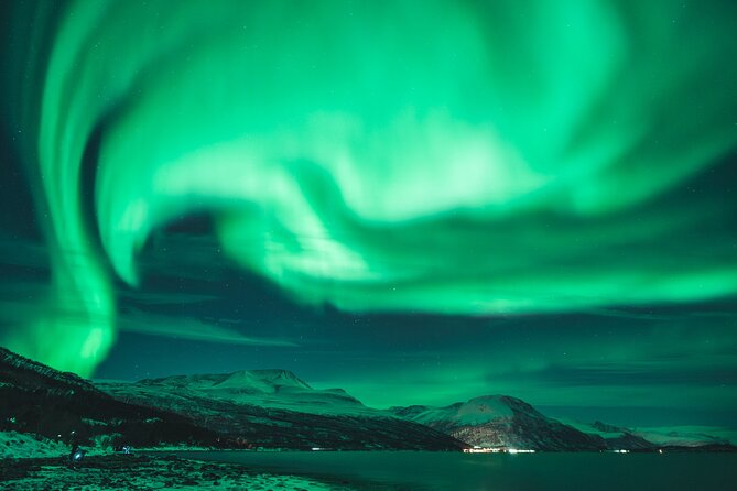 Northern Lights Tour in Tromso - Practical Tips for Participants