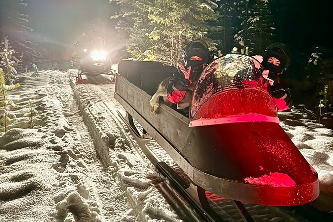 Northern Lights Tour Sleigh Ride - Discover the Northern Lights on a Snowmobile Sleigh Ride in Rovaniemi