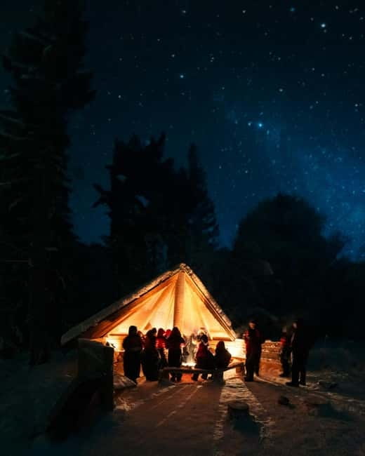 Northern Lights Tour Sleigh Ride - The Heated Snowmobile Sleigh: Comfort in the Arctic Wilderness