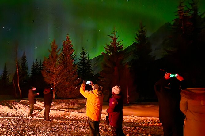 Northern Lights Tour, Tromso, Local Guide, Private Basecamp - Departure Details and Meeting Point Logistics