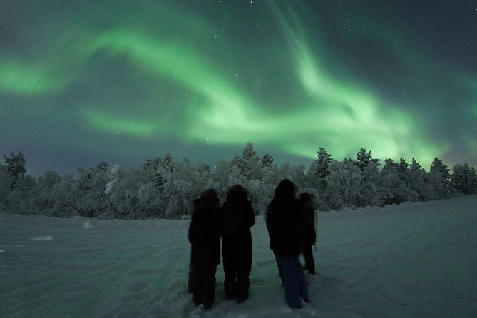 Northern Lights Tour with BBQ and drinks - Who Will Enjoy This Tour Most
