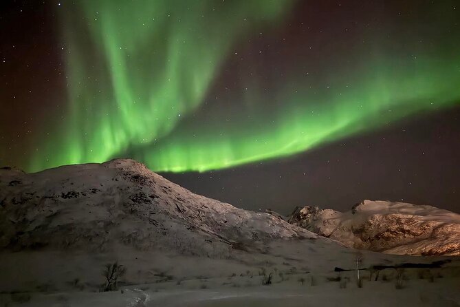 Northern Lights Tour with Hot Food and Drinks in Tromso - The Nature of the Aurora Chase: Locations and Scenery