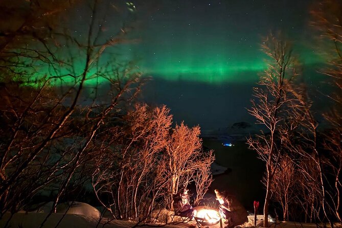 Northern Lights Tour with Hot Food and Drinks in Tromso - The Evening Schedule: From Sunset to Aurora