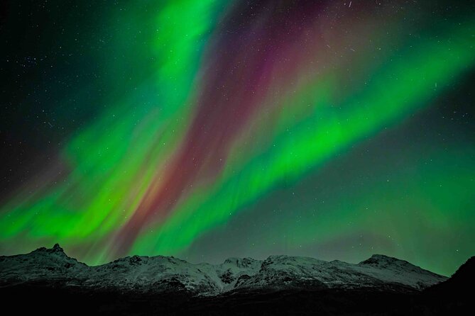 Northern Lights Tour with small group of 8 people - Key Points