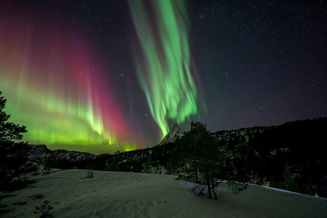 Northern Lights Tours Bodo Norway - Who Should Consider This Tour