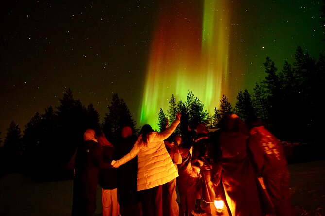 Northern Lights Trip to a Magical Place in Lapland - Key Points
