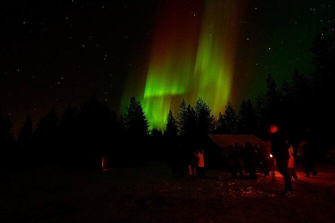 Northern Lights Trip to a Magical Place in Lapland - Optimal Timing and Meeting Arrangements