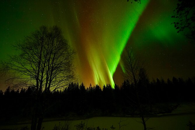 Northern Lights Trip to a Magical Place in Lapland - Flexibility and Cancellation Policy