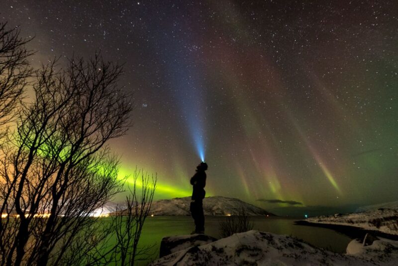 Northern lights Tromsø - small group tour with local guide - Key Points