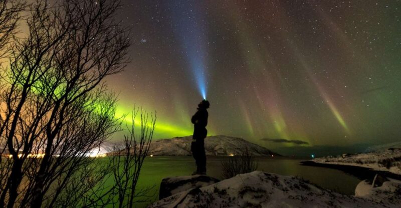 Northern lights Tromsø - small group tour with local guide - Flexibility with Weather and Aurora Sightings