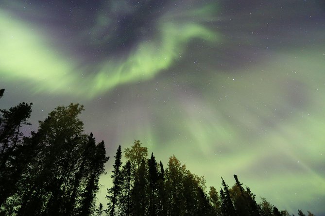 Northern Lights Viewing including Dinner and 1-Hour Dog Sledding - From Fairbanks Hotel to Murphy Dome: Starting the Arctic Journey