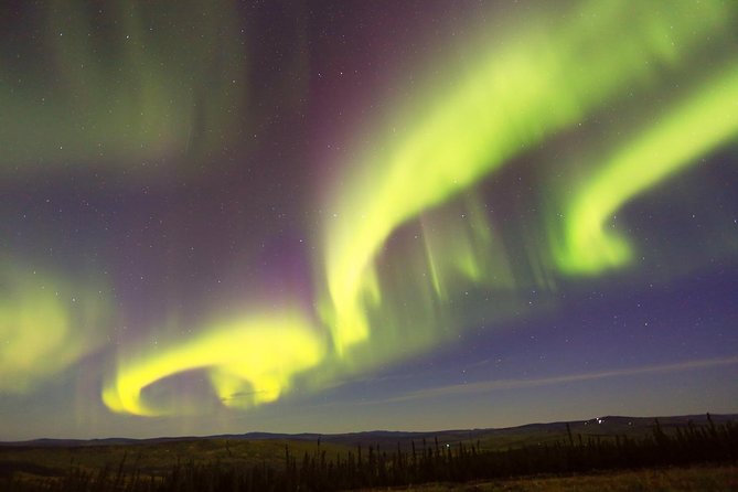 Northern Lights Viewing including Dinner and 1-Hour Dog Sledding - Warm Up in a Cozy Off-the-Grid Cabin for Dinner