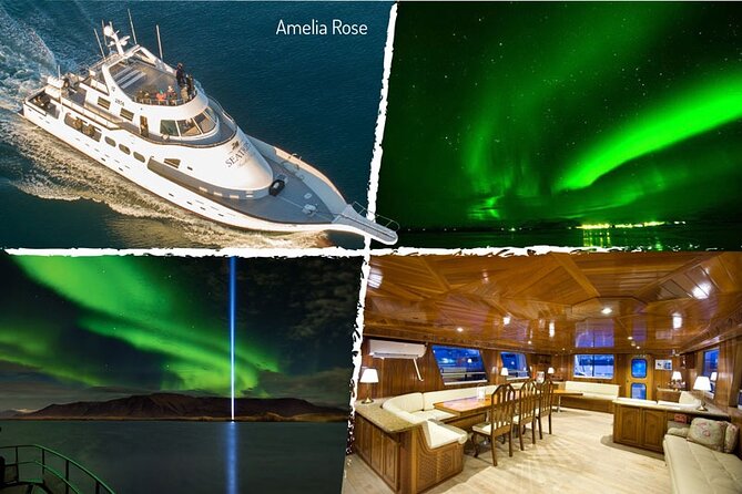 Northern Lights Yacht Cruise in Reykjavik - Weather and Visibility Factors