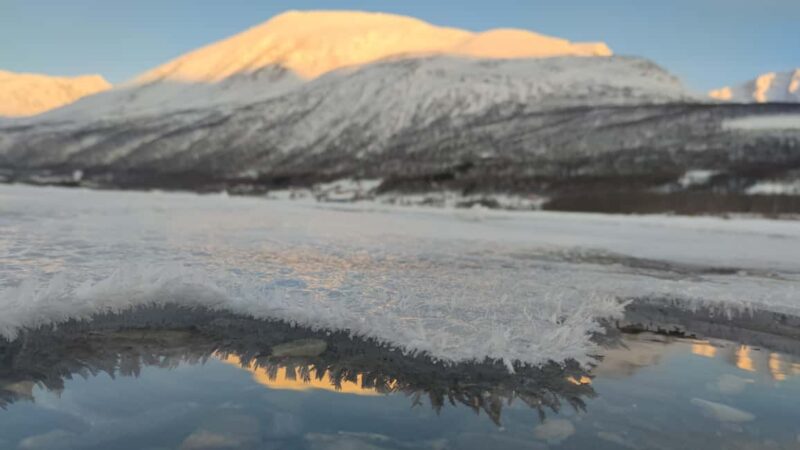 Northern Norway: guided snowshoe tour with a husky - Cozy Snacks and Campfire Moments