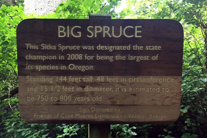 Northern Oregon Coast Day Trip to Three Capes Scenic Loop - Driving the Three Capes Scenic Drive