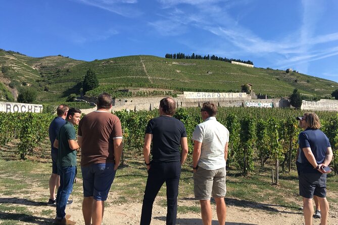 Northern Rhône Valley From Lyon Full day - Exploring Tain-lHermitage’s Wineries