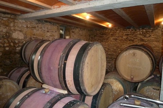 Northern Rhône Valley Wine tour from Lyon Half Day - Strengths and Considerations