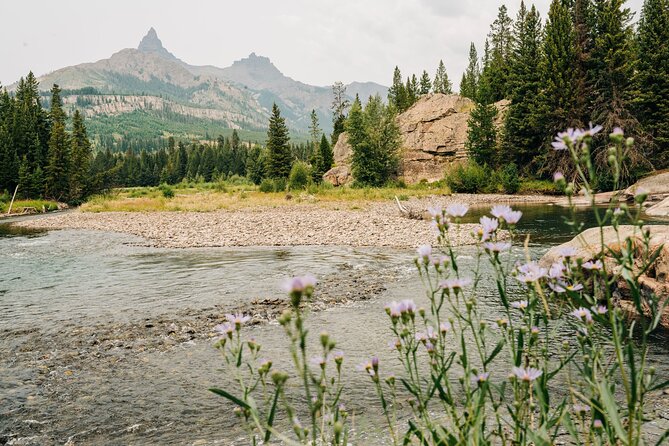 Northern Yellowstone Safari from Cody, WY - Tower Fall: Iconic Waterfall and Rest Stop