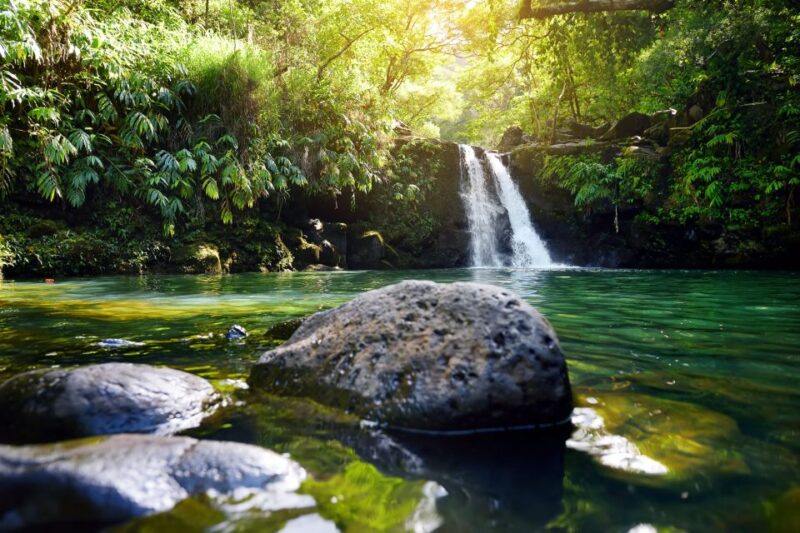 Northshore Maui: Guided Rainforest and Waterfall Walk - Starting Point and Meeting Details in Mauis Lush Northshore