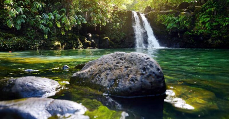 Northshore Maui: Guided Rainforest and Waterfall Walk - The Expertise and Personality of the Guides