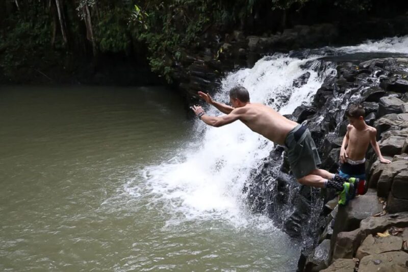 Northshore Maui: Guided Rainforest and Waterfall Walk - The Waterfall Swimming and Jumping Experience