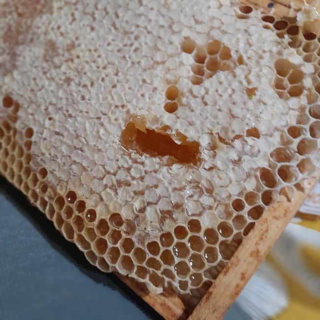 Northumberland: 6 Hour Meet the Makers Food Tour - Visiting Local Farms, Apiaries, and Distilleries