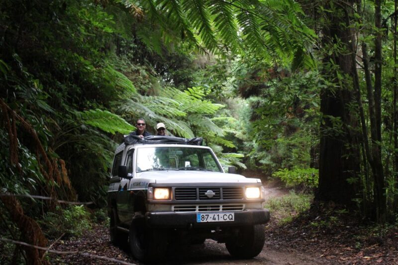 NorthWest's 50 shades of green, rock pools & waterfalls Tour - Visiting the Native Laurell Forest and UNESCO Site