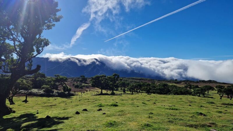 NorthWest's 50 shades of green, rock pools & waterfalls Tour - Logistics: Easy Pickup and Private Group Comfort