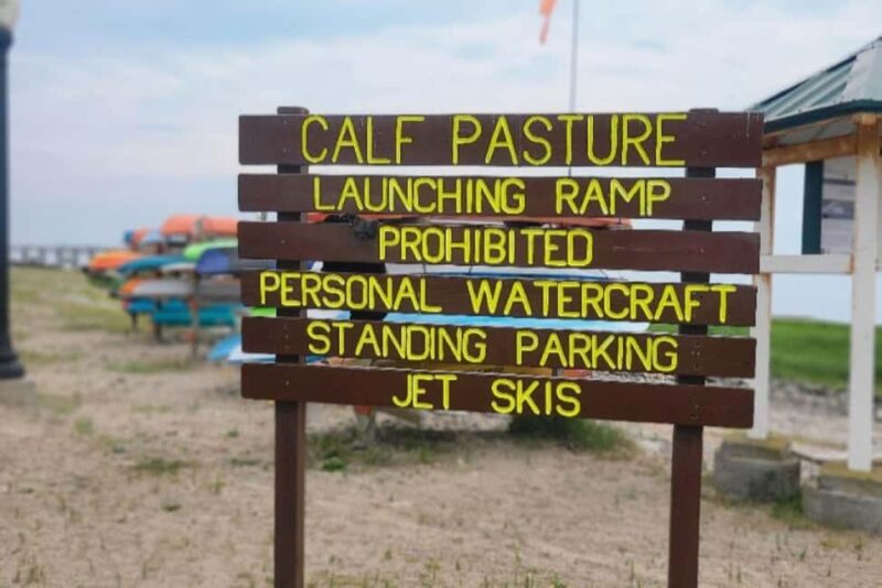 Norwalk: Paddleboard Rental at Calf Pasture Beach - Easy Pick-up of Fully Inflated Paddleboards at Calf Pasture Beach
