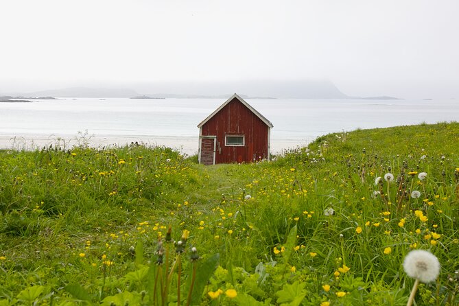 Norway Lofoten Private Shore Excursion from Leknes - Explore Lofoten’s Most Scenic Spots on a Private Shore Excursion from Leknes