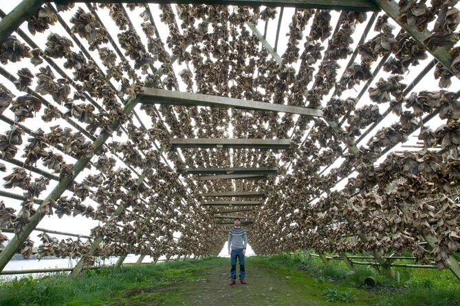 Norway Lofoten Private Shore Excursion from Leknes - Quick Stop at Rambergstranda Beach and the Iconic Red Boathouse