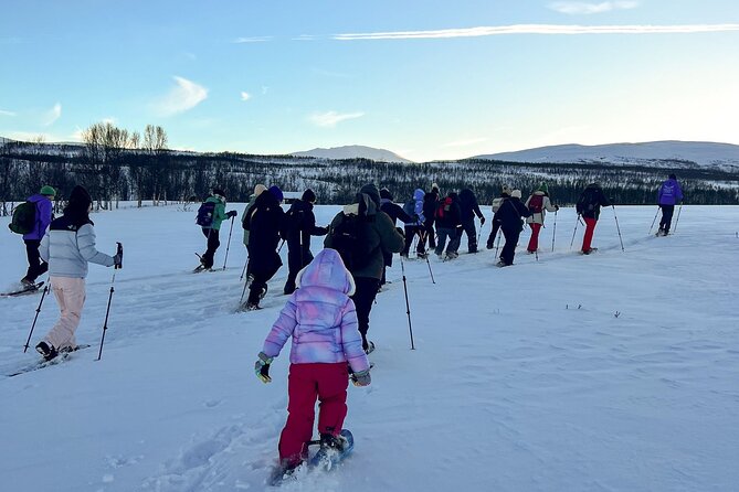Norway Troms Snowshoe Activity with Guided Tour - Tromso’s Scenic Snowshoe Trails and Reindeer Encounters